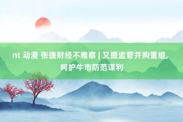 nt 动漫 张捷财经不雅察 | 又提监管并购重组， 呵护牛市防范谋利