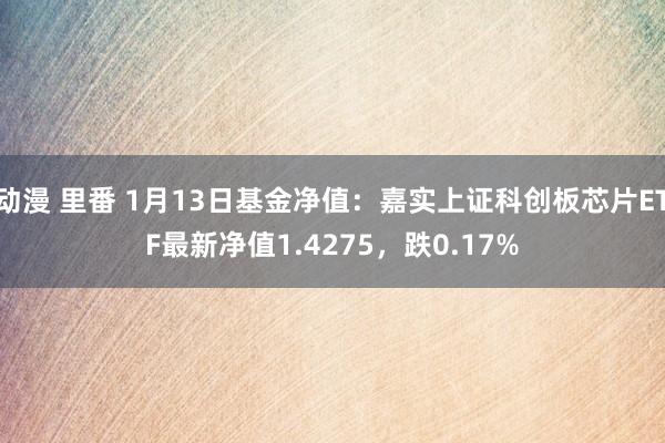动漫 里番 1月13日基金净值：嘉实上证科创板芯片ETF最新净值1.4275，跌0.17%